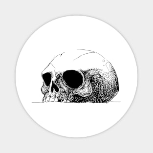 skull Magnet